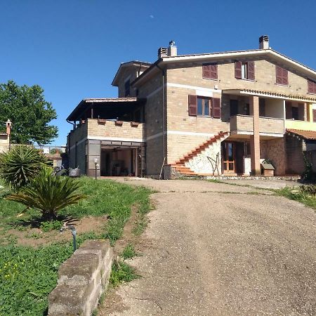 La Tana Di Stefano Anguillara Sabazia Bagian luar foto